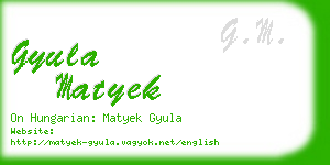 gyula matyek business card